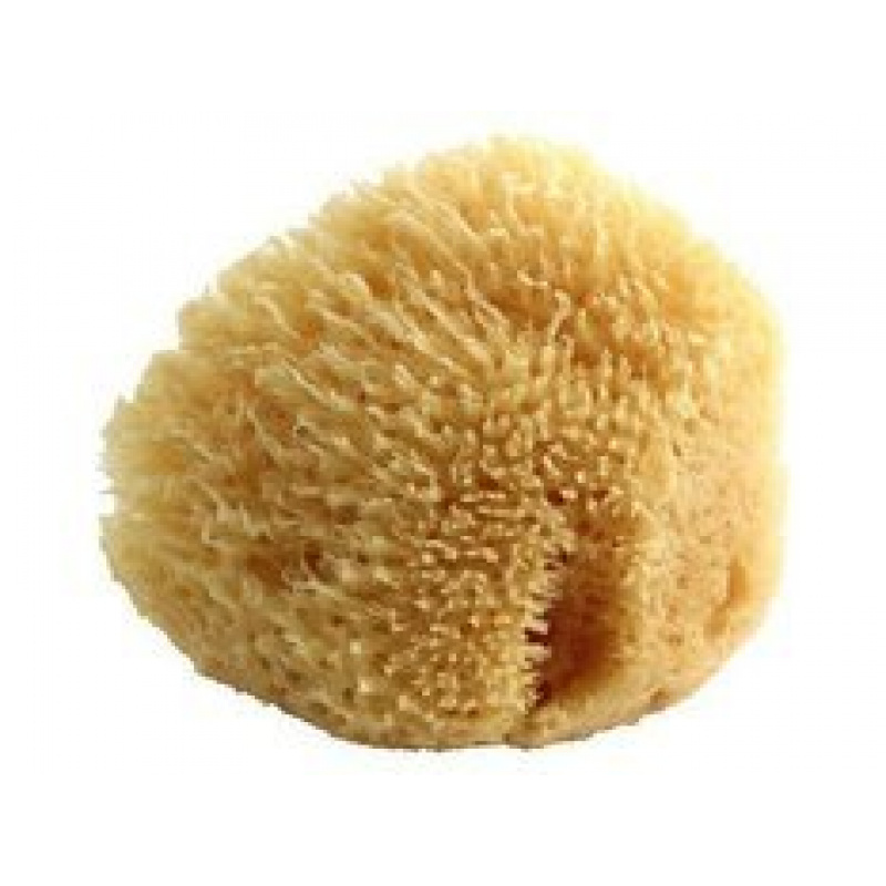 Естествена морска гъба POUPY