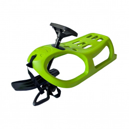 Шейни Aga DS499 Зелени