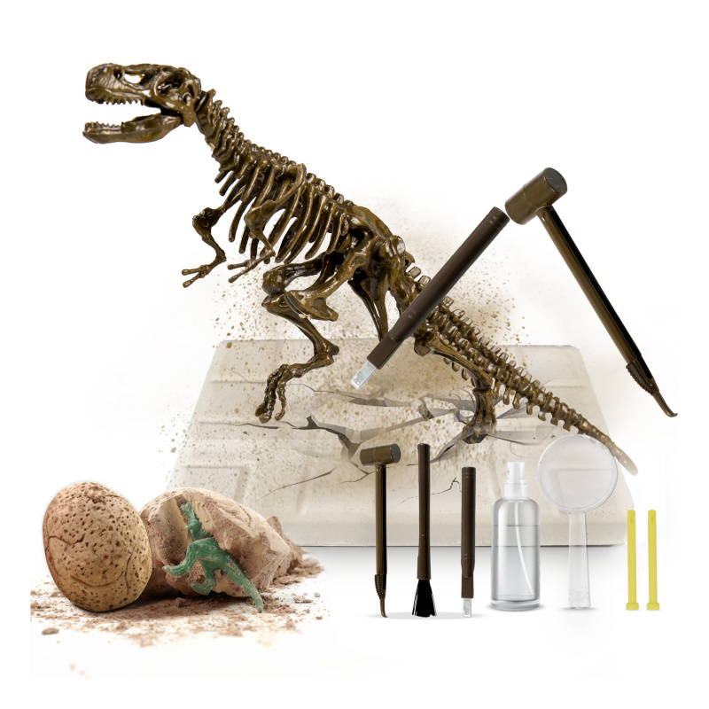 Aga4Kids Комплект за малки палеонтолози T-Rex