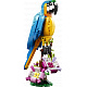 LEGO® Creator 31136 Exotický papoušek
