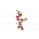 LEGO® Botanicals 11510 Větvičky magnólie