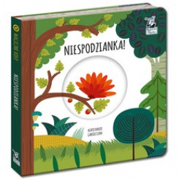 Магическият кръг на Капитан Наука. Изненада! KS0674