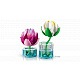 Комплект за конструиране на цветя LEGO® Botanicals Водни лилии 11511