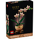 LEGO® Botanicals 10343 Miniaturní orchidej