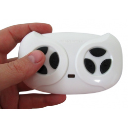 Пилот 2.4 G, Превозно средство на батерии, Аксесоари, модел до GTR-s