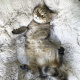 Космато легло за куче, сиво 22759