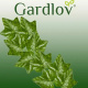 Висящ изкуствен бръшлян 50,4 м Gardlov 19737