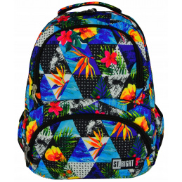 St.ПРАВИЛНО Училищна раница с четири камери Paradise
