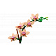 LEGO® Botanicals 10343 Miniaturní orchidej