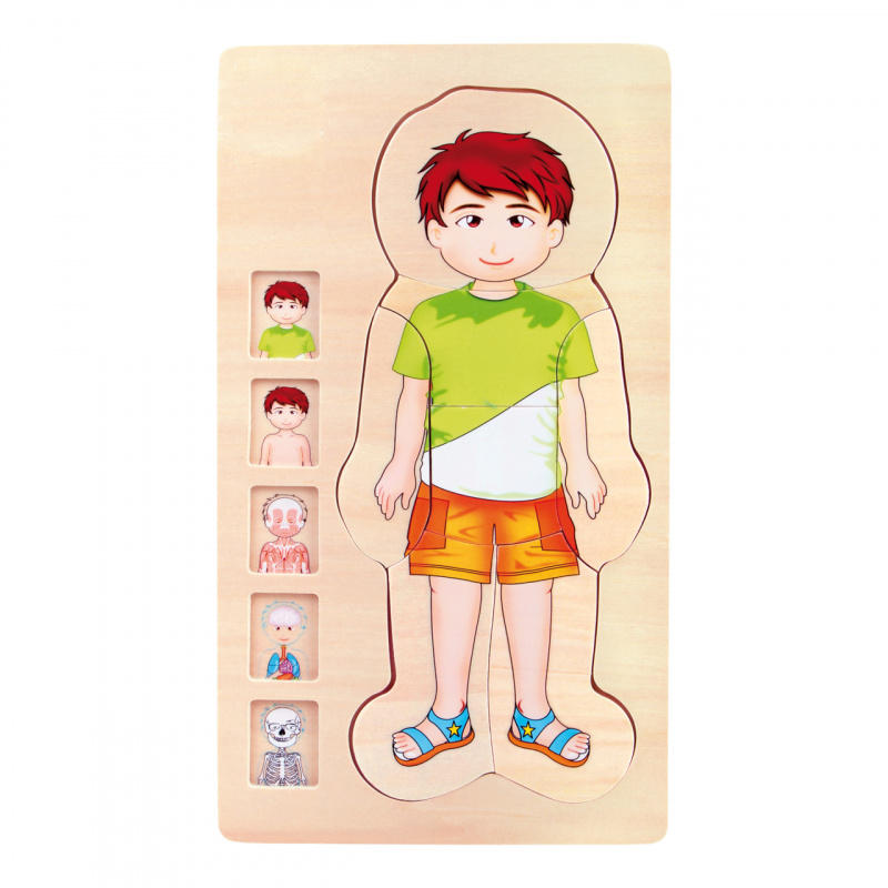 Small Foot Дървени играчки пъзел анатомия Тим 2DZ168 - II. КАЧЕСТВО