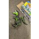 Aga4Kids Интерактивен динозавър T-Rex - 2DZ254 - 2. КАЧЕСТВО