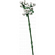 LEGO® Botanicals 10328 Kytice růží