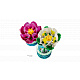 Комплект за конструиране на цветя LEGO® Botanicals Водни лилии 11511